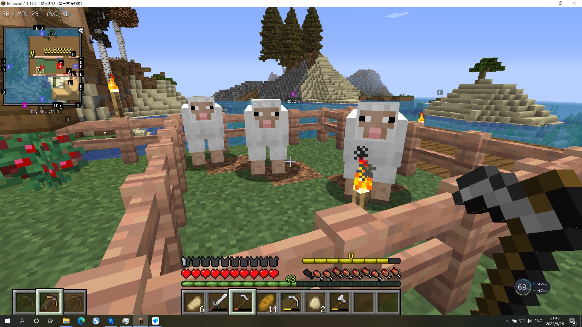 只狼：影逝二度 完整版 截图3