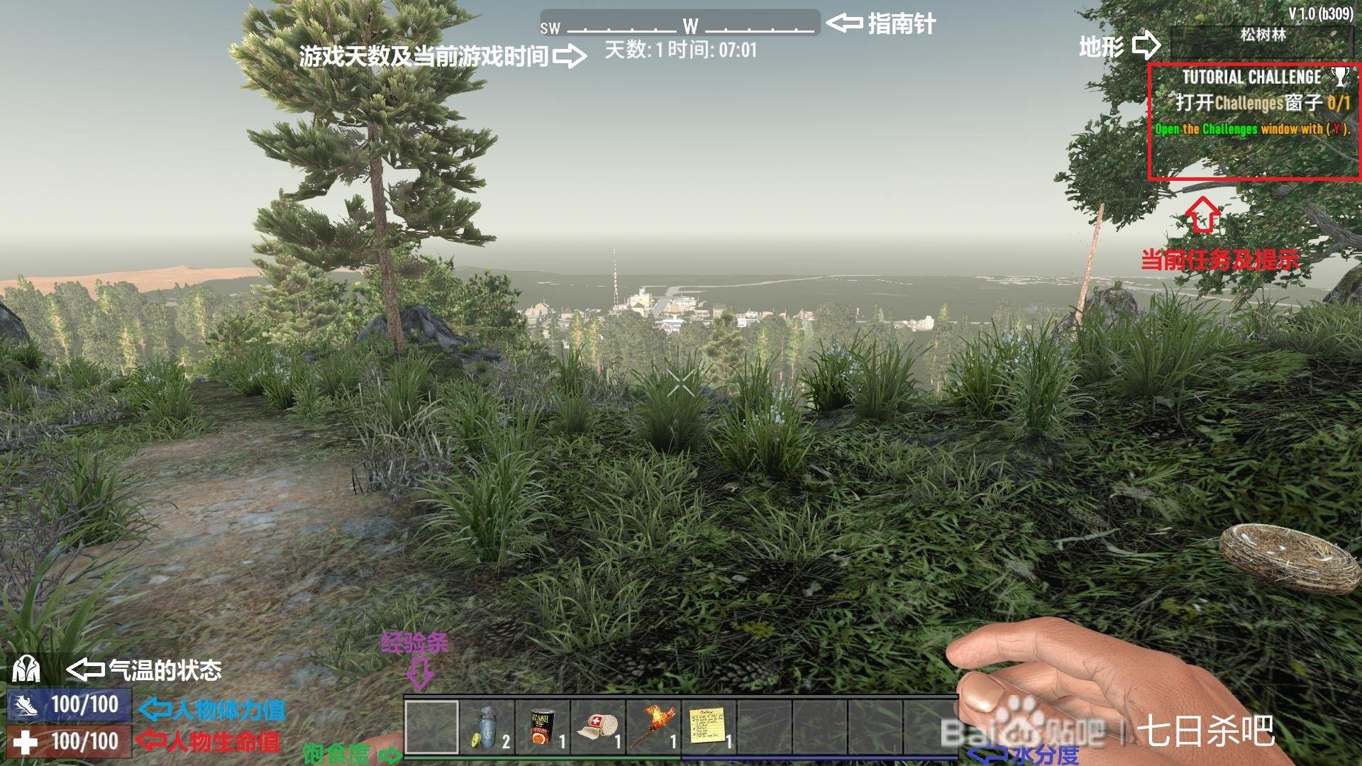 空洞骑士 豪华版 截图10